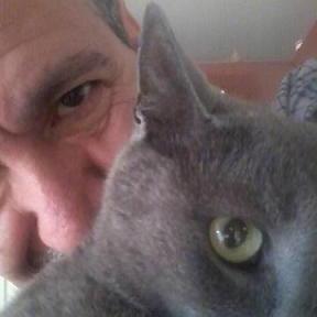 tostekitougatou's profile picture. 