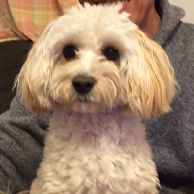 XSR7958696's profile picture. バイクでのツーリングが好きで美味しい食べ物を求めて走っています。