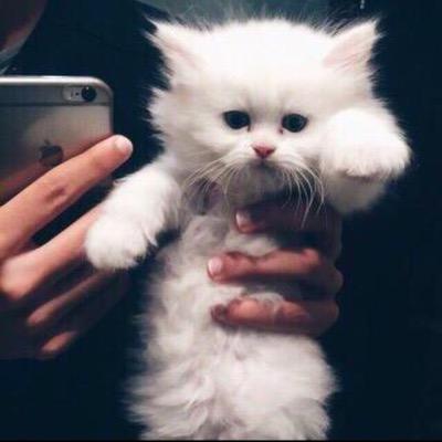 Ghadeerr8's profile picture. سبحان الله وبحمده سبحان الله العظيم.