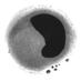 Clive Donaghue (@clivemd) Twitter profile photo Clive Donaghue (@clivemd) Twitter profile photo