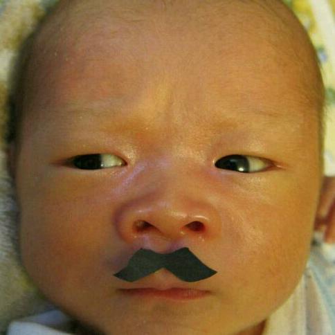 mckee30xx's profile picture. アラフィフおやじです。 山ギア・ガジェット・テンカラ(2020夏より）好き。冒険感たっぷりの山行もやりたいけど、体の変化（メタボ・・）と環境の変化(家族の目・・)により 年々低山ばかりになっている。無雪期のメインはテンカラとキャンプ。冬は、スプリットボードでまったりとした散歩が好き。来冬からはBCも再開したい。