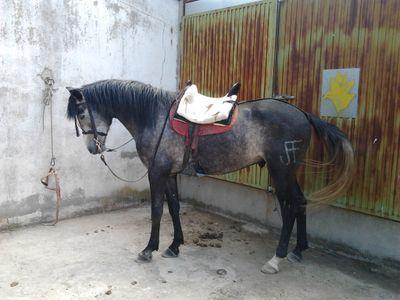 Ivanhg22's profile picture. 