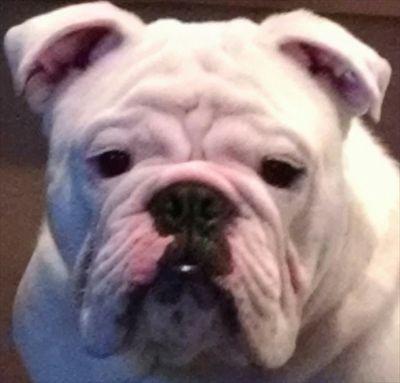 sydenstricker84's profile picture. 