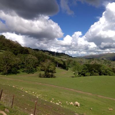 vickitimmons's profile picture. 