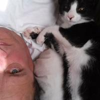 Me&Elvis🐝✌👣🎵SOJOURNEROFTRUTH Tritium@911Namaste (@shanrmoore) 's Twitter Profile