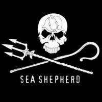 SeaShepherdMelbourne (@seashepherdmelb) 's Twitter Profile