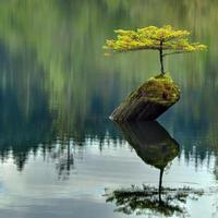 Юрій🌏 (@kravayu) 's Twitter Profile