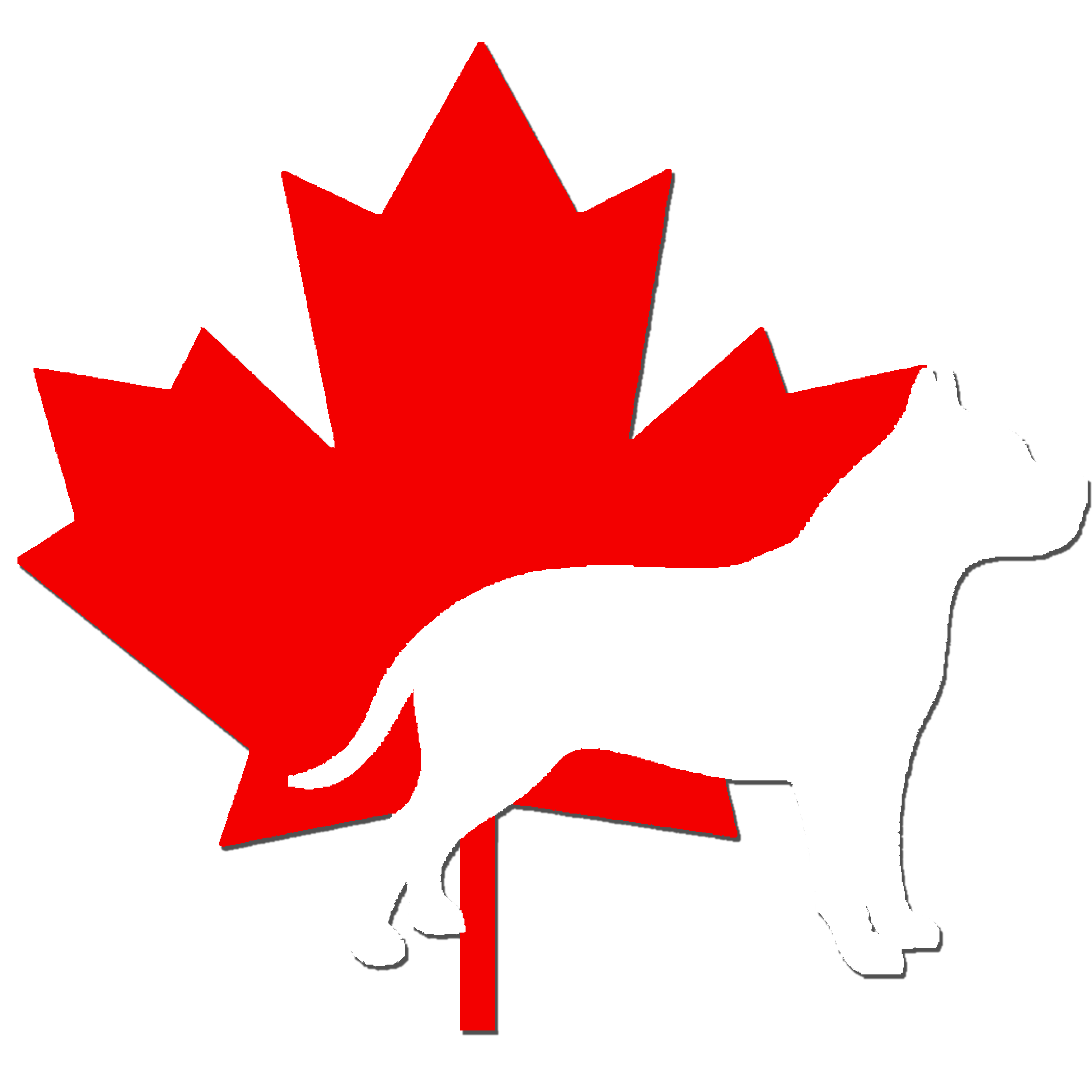 Canada Raw Profile