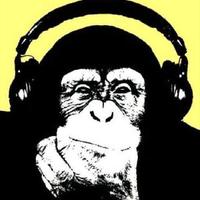 WhatYouMightHaveMssd (@wymhm) 's Twitter Profile Photo WhatYouMightHaveMssd (@wymhm) 's Twitter Profile Photo