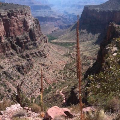 skjones66's profile picture. 