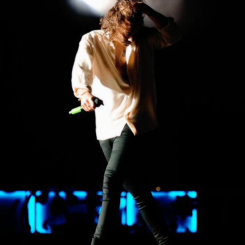 wookie42's profile picture. harry af