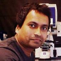 Souvik Naskar (@souvik_naskar) Twitter profile photo