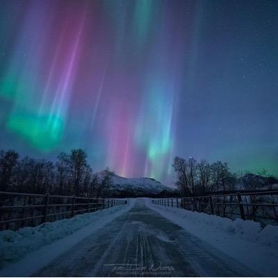 hadimsbdi's profile picture. 