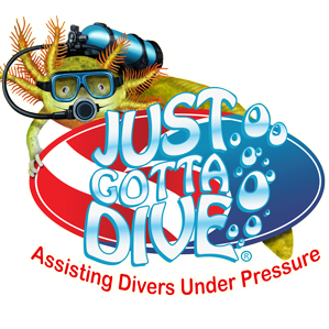 Just Gotta Dive was created to provide divers with quick and easy access to a wealth of diving resources all in one fun, interactive site. Join today for free!