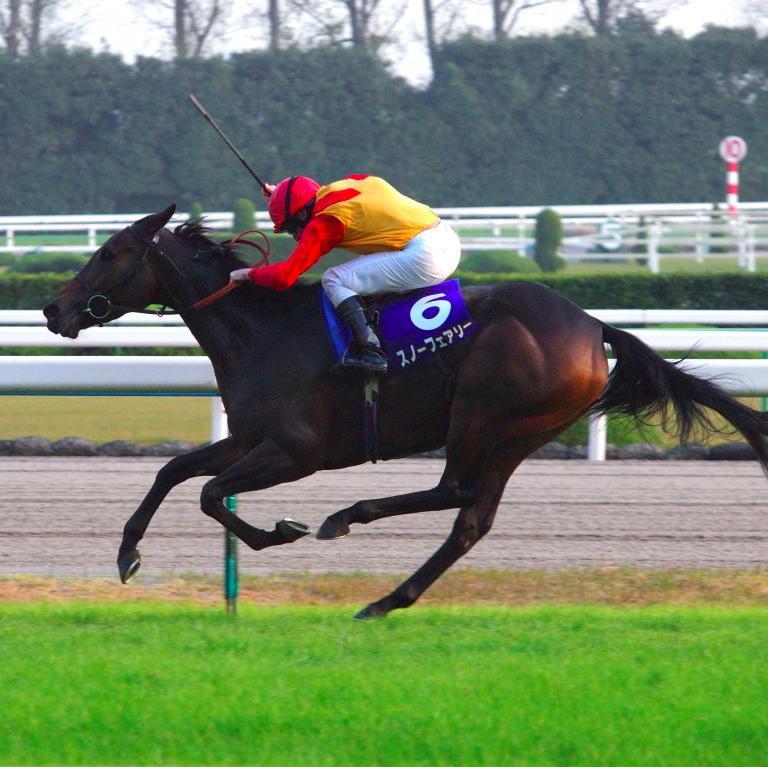 競馬の名言や役立つ情報を集めました！役にたったらぜひRTとフォローお願いします!