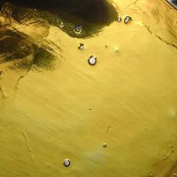 OhighO DABS (@ohiodabs) 's Twitter Profile Photo OhighO DABS (@ohiodabs) 's Twitter Profile Photo