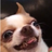weebnier's profile image