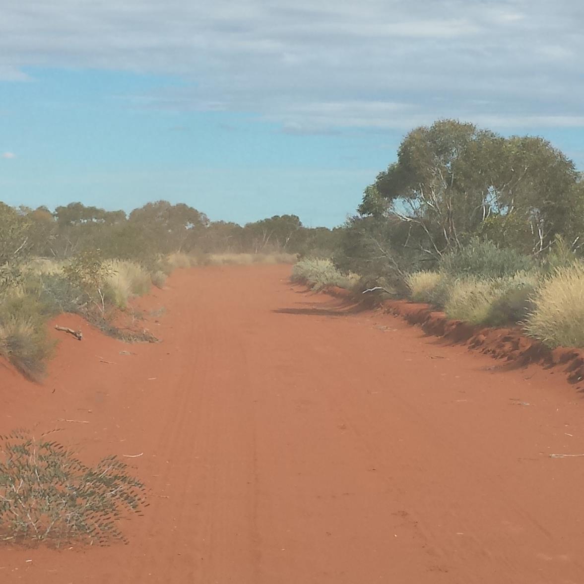 Tweets are my own thoughts retweets don't necessarily reflect my opinion. proud Tjupan minma from Western Desert WA