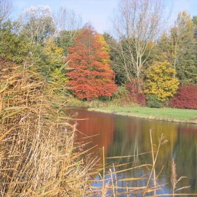 LodtZ18's profile picture. 