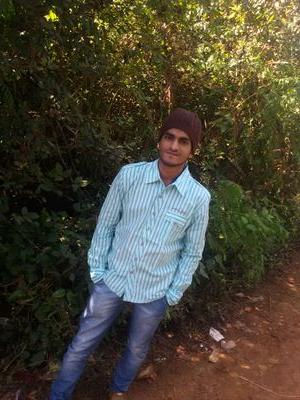 seagulwitheagle's profile picture. flying birds