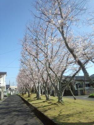 pinksun8201's profile picture. Acid Black Cherry大好き！Janne Da Arc大好き！メンヘラだけど明るいです♡