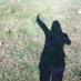 Lucy L (@lucyleake) Twitter profile photo Lucy L (@lucyleake) Twitter profile photo