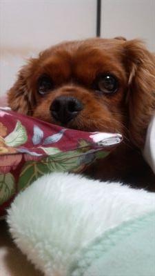 ku_masubuchi's profile picture. ♥よろしく♥♥