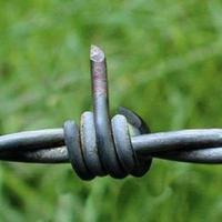 Guy Toledano (@guytole) 's Twitter Profile