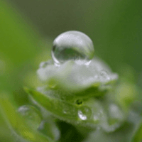 allthatiwished4's profile picture. 