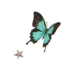 はいどら🦋さんのプロフィール画像
