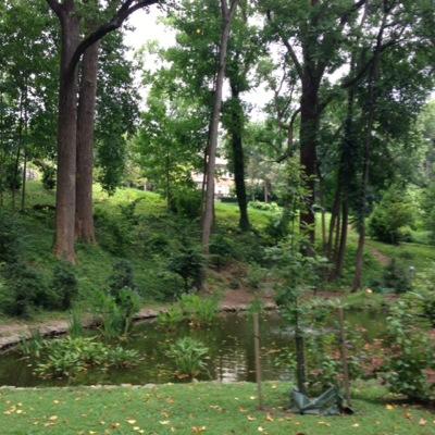 Historic woodland garden in the Cleveland/Woodley Park neighborhood in Washington DC - open to the public, free of charge, every day.