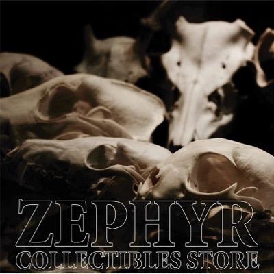 ZEPHYR C.S.さんのプロフィール画像