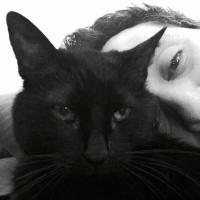 Papadzul neoliberal (@papadzulberro) 's Twitter Profile
