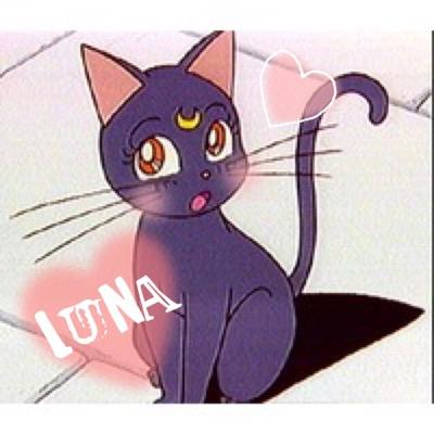 ルナ 黒猫 Runa Twitter