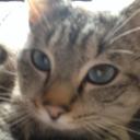 Anne Gonzalez - @annegonzalez81 - Twitter