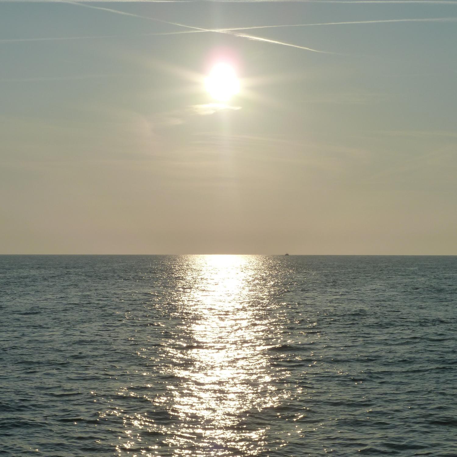 Reggie503's profile picture. Journaliste à @lepopulaire_fr