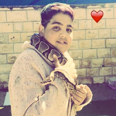 dS1rrWcqzGYEbkl's profile picture. 