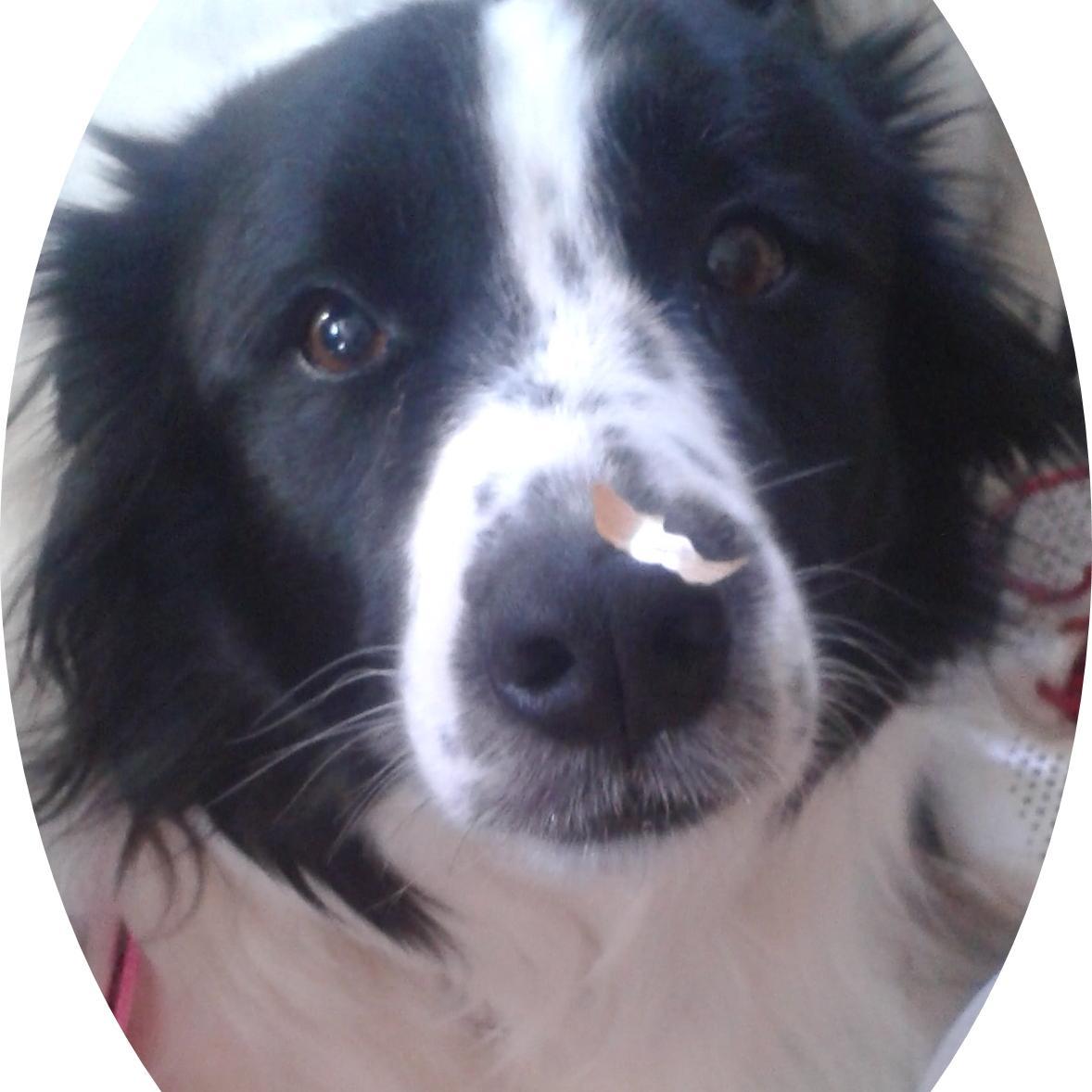 jayd_harrison's profile picture. Mother, Wife, Freelancer, Social Media Enthusiast and pretty cool chick.