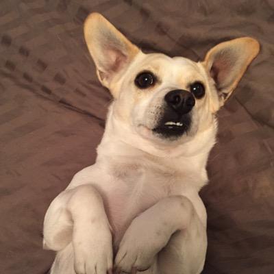 brewbunny821's profile picture. 