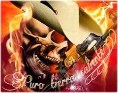 CssJulio10's profile picture. 