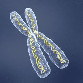 Genetics enthusiast. Interested in reproductive & genetic health, particularly in improving fertility and IVF success rates. *comments are my own*