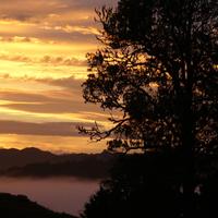 Why Northland (@whynorthland) 's Twitter Profile