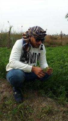 XMaK1esscQ5c815's profile picture. 