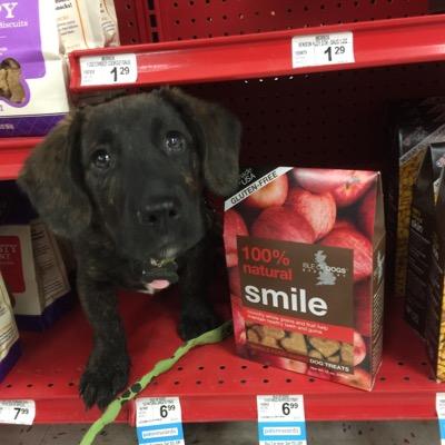 stevemedanic's profile picture. Husband, father, agile coach, learner, gamer, nerd/geek, bookworm, cyclone, (mostly) proud American, liberal, he/his