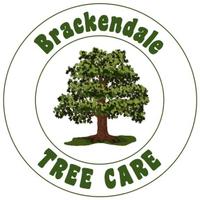 Brackendale TreeCare(@BrackendaleTC) 's Twitter Profile Photo
