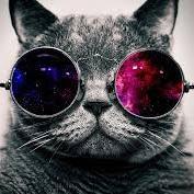 I can take it. The tougher it gets, the cooler I get.
Richard M. Nixon