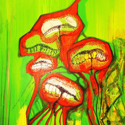 sol_solutum's profile picture. 