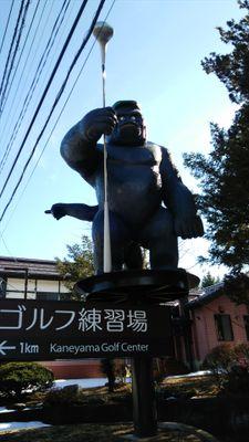 yamyomi's profile picture. あっぱらぱー