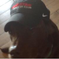 buck baccus (@buckbaccus) 's Twitter Profile Photo buck baccus (@buckbaccus) 's Twitter Profile Photo
