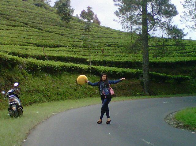 ifarida52's profile picture. Qhu ingin sllu k jalan yang d ridhoi ALLAH..               Sukses kn lah aq ya ALLAH daLam segi apa pun amin